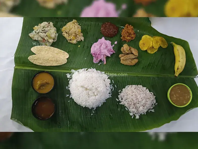 Apollo Sindoori Caterers